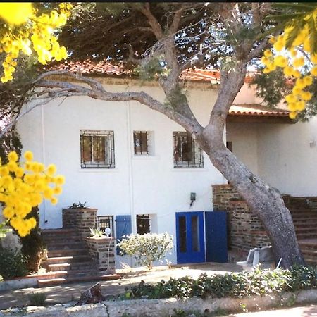Villa Bleue - Les Pins Port Vendres Eksteriør bilde