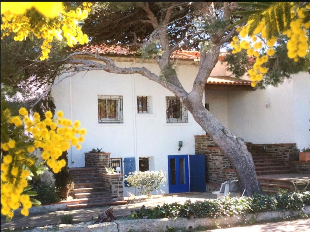 Villa Bleue - Les Pins Port Vendres Eksteriør bilde