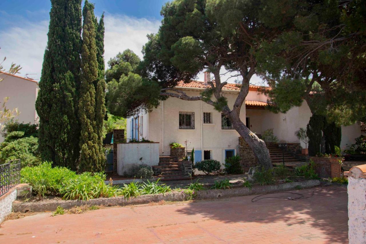 Villa Bleue - Les Pins Port Vendres Eksteriør bilde