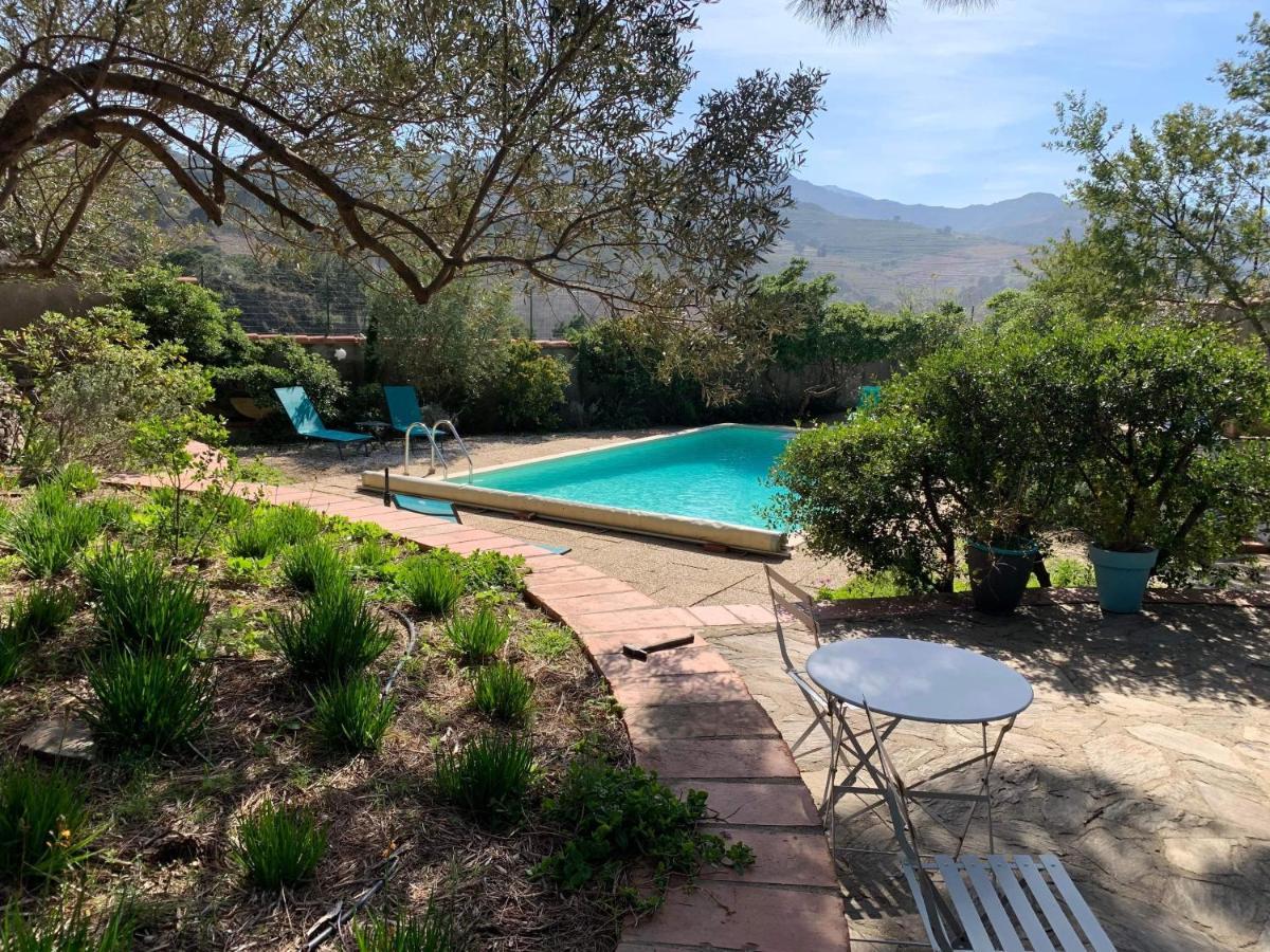 Villa Bleue - Les Pins Port Vendres Eksteriør bilde