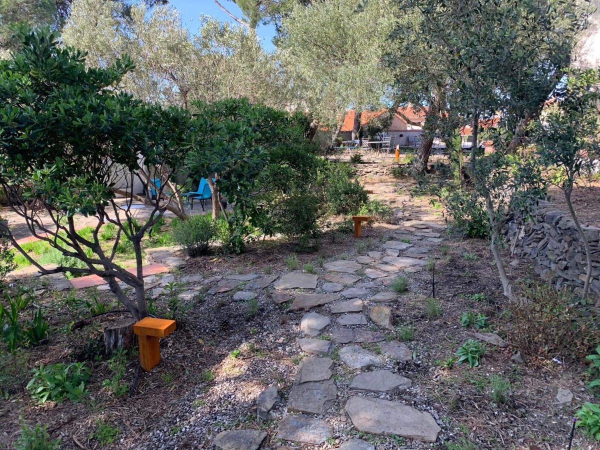 Villa Bleue - Les Pins Port Vendres Eksteriør bilde